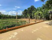 Cần tiền bán gấp   bán lỗ 4 lô đất Duy Xuyên   Điện Bàn Tây...