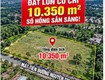 Gấp  đất công nghiệp mt nguyễn thị rành, an nhơn tây, củ chi 10.350m2 chỉ 25 tỷ...