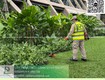 Dịch vụ chăm sóc cây xanh Thảm cỏ Đồng Nai 