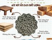 Gỗ xuất khẩu cần gói hút ẩm để hạn chế rủi ro gì 