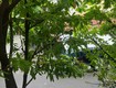 Chính chủ cần bán căn hộ chung cư lầu 1 ngay mt/hẻm trần quang diệu, phường 13, quận...