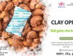 Gói hút ẩm clay giữ giòn hạt điều hiệu quả