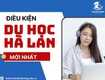 Tân đại dương công ty chuyên tư vấn hỗ trợ hồ sơ du...