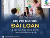 Công ty chuyên tư vấn hỗ trợ đồng hành chuẩn bị hồ sơ du học...