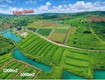 đất bảo lộc làng omm bên đồi chè