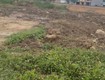 Gấp   chính chủ cho thuê lô đất 800m2   3 mặt tiền đường nam sông...
