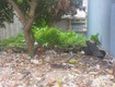 Chính chủ gửi bán 2 lô đất tại Phương Lưu  Đông Hải Hải An 