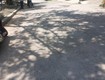 Bán nhà lô góc 2 mặt thoáng hoàng quốc việt, q.7, dt 100m   5x20m , giá...
