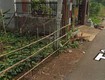 Chính chủ bán gấp 2.000m  đất cây lâu năm mặt tiền đường tây hòa, xã tây hòa,...