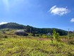 Cần Bán Đất 309m , 209m  Đất Ở, 2 Mặt Tiền, Giữa Đồi Thông 