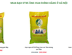 Bảo quản gạo ngon ST25 đúng cách để giữ hương thơm lâu 