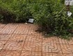 Chính chủ bán đất khu lê vụ   phường tân lập, buôn ma thuột 