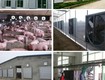So Sánh Quạt Hút Công Nghiệp 600x600 Và Các Kích Thước Khác 