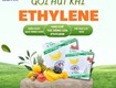 Bơ, xoài, đu đủ sau thu hoạch   Kiểm soát Ethylene để bảo quản 