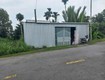 Chính chủ cần bán đất mặt tiền đường nhựa   ngay cầu bàu sơn, trà vinh 