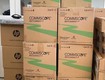 Cáp mạng commscope cat6 