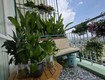 Cần bán căn hộ chung cư  An Phú Apartment Đ/C 961 Hậu Giang Phường 11 Quận 6,...