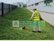 Dịch vụ Cắt cỏ Phát hoang Đồng Nai giá rẻ an toàn 