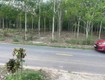 Bán đất tại đường lò rèn, long hòa, 4 tỷ, 880 m2, giá tốt, view đẹp 