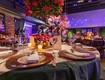 Giải pháp thuê bàn ghế cưới hỏi cách tốt nhất giúp gia đình...