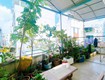 Cho thuê phòng trọ lê văn sỹ, quận 3, giá 2.5 triệu 