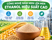 Công nghệ nấm men, hiệu suẩt cao 