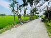 Chính chủ bán lô điện bàn tây giá 590 triệu 