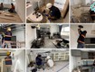Nhà việt group   cung cấp dịch vụ sửa điện nước quận gò vấp...