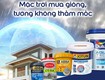 Nhà việt group   chuyên dịch vụ thi công sơn chống thấm tường uy...