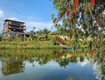 Sau này, gia đình bạn muốn có một nơi nghỉ ngơi như thế nào ...