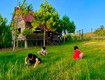 đất ở 200m2 thổ cư bảo lộc
