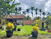 Bán đất 500m2 tại Trừ Văn Thố, tp Hồ Chí Minh sẵn thổ cư giá 870tr 