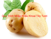Quy trình nhập khẩu khoai tây tươi