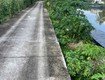 Cần bán đất nuôi trồng thủy sản   ấp đồng tâm, xã cái nước 
