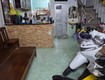 H3187  siêu hot nhà vuông a4 1/ nguyễn công hoan sổ hồng riêng chỉ 8.x tỷ ...