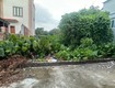 Chủ gấp quá rồi , đang rất cần tiền tha thiết gửi em bán lô đất 100m2 ,...