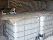 Tham khảo lợi ích khi sử dụng bồn nhựa ibc 1000l tại nhựa hoàng phong...