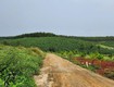 Chính chủ bán 1.000m2 đất bảo lâm 3, lâm đồng   view rừng thông, đồi trà tuyệt...