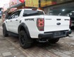 Ford Raptor 2020 2.0 Bi Tubor máy dầu