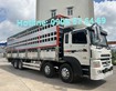 2 HD320 chở Heo
