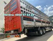 5 HD320 chở Heo