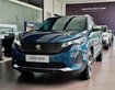 8 PEUGEOT 3008 Premium , giá xe : 989.000.000