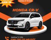 Chỉ Còn Những Ngày Cuối Cùng Để Được Ưu Đãi Đặc Biệt‼‼‼  Báo Giá Xe Honda