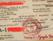Ảnh số 14