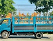 2 KIA K250L 2024   Thùng mui bạt rộng rãi 