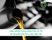 Dầu Nhớt Tổng Hợp Cho Ô Tô - Bí Quyết Giữ Xe Luôn Bền Bỉ