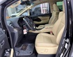 6 Bán Toyota Alphard Executive Lounge sản xuất 2022, sơn Zin 99.