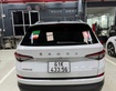 3 Chính chủ bán xe Skoda sản xuất năm 2024