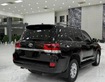 4 Bán Toyota Land Cruiser 4.6 V8, sản xuất 2019.