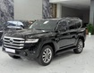 2 Bán Land Cruiser LC300 sản xuất 2021